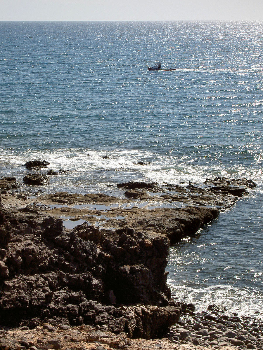 PICT4995.JPG