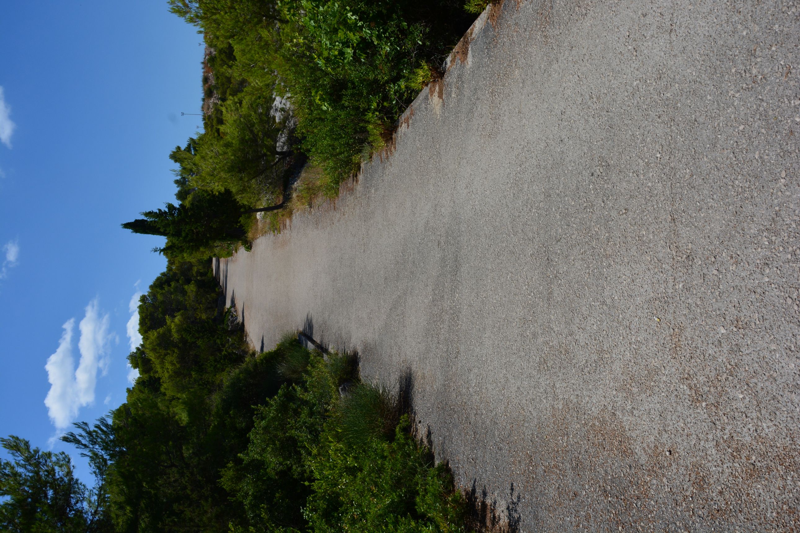 DSC_7570.JPG