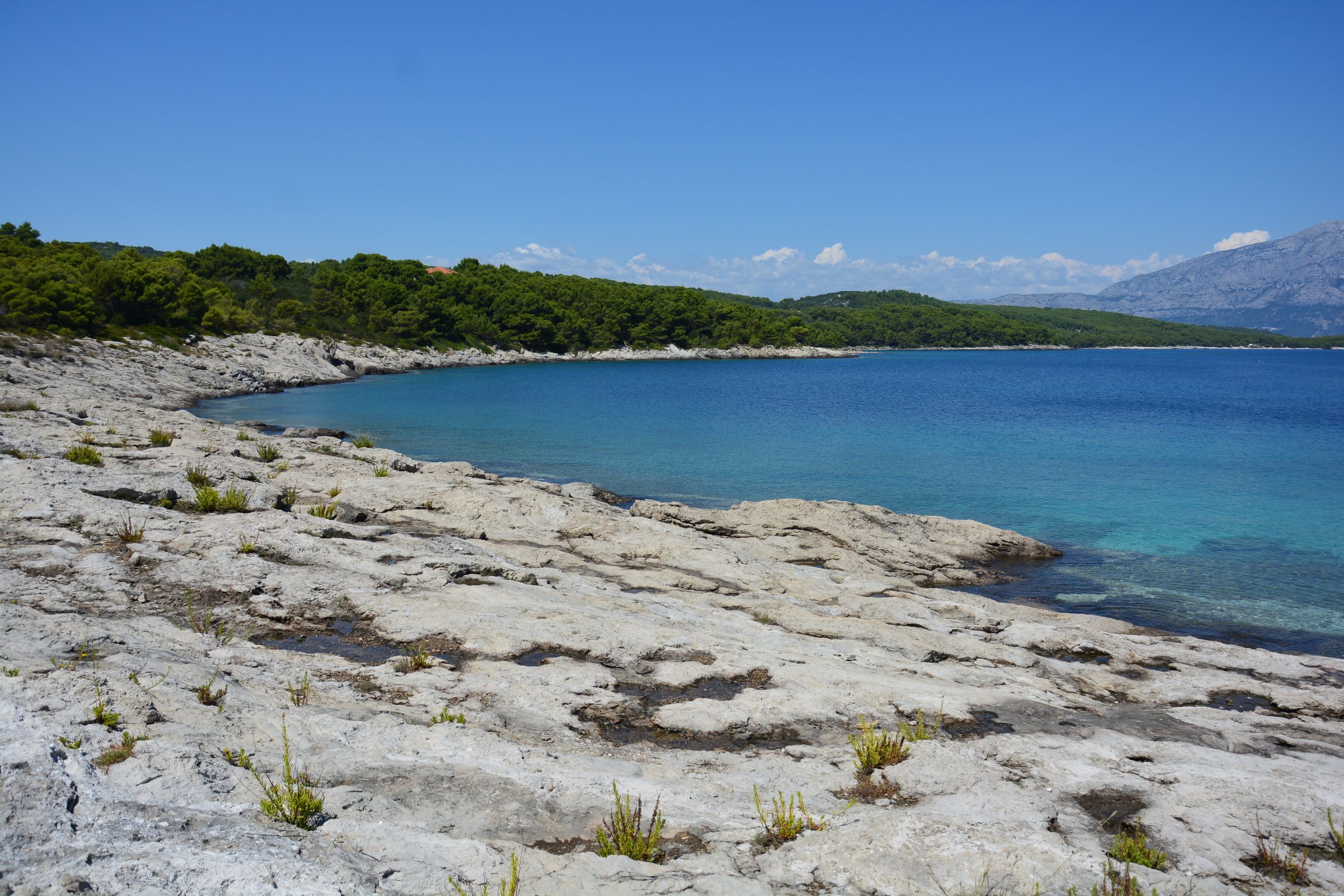 DSC_7558.JPG