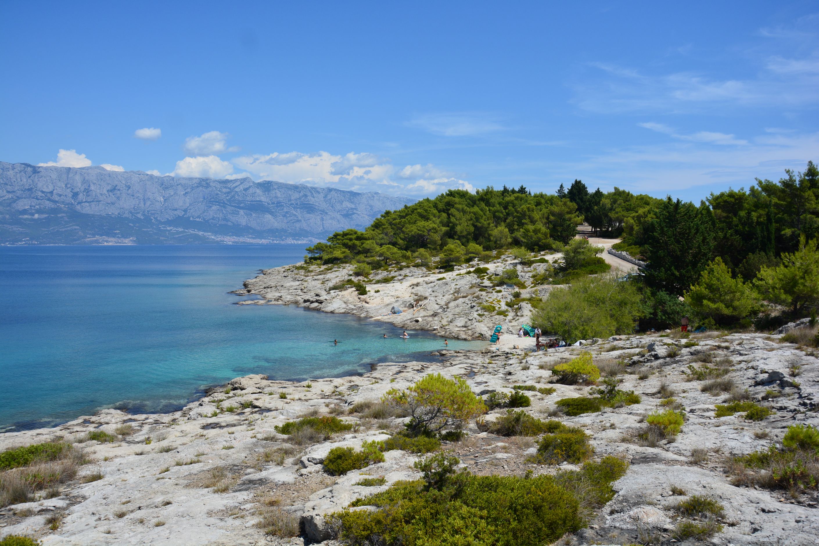 DSC_7561.JPG