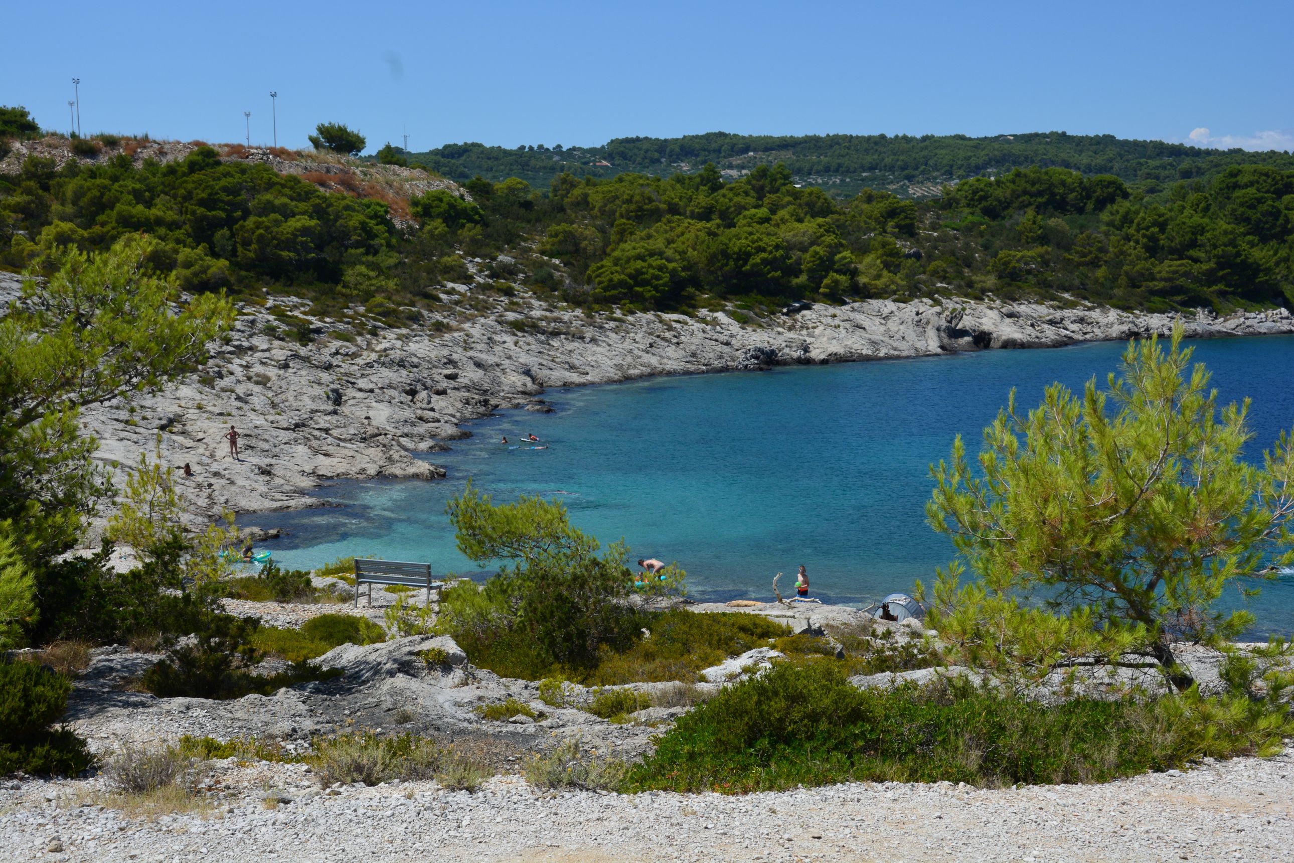 DSC_7572.JPG