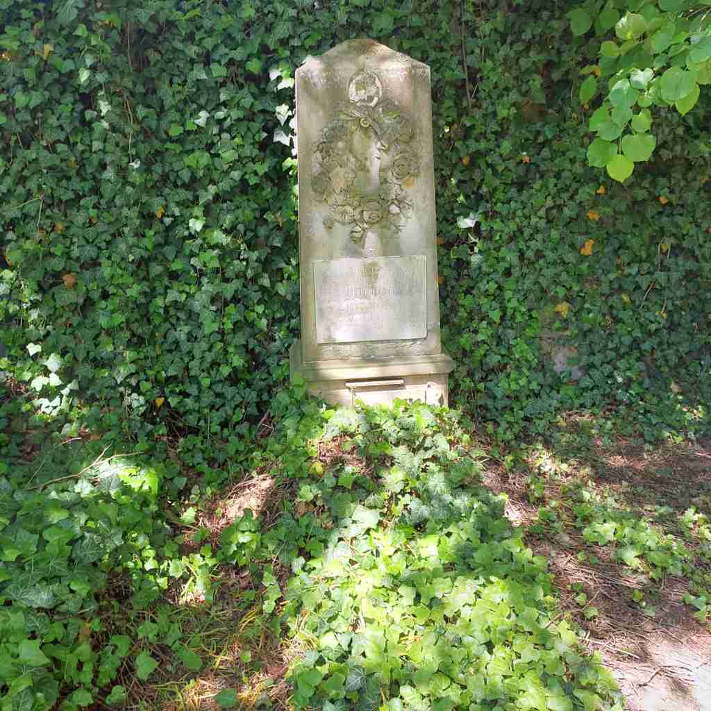 1067.jpg
