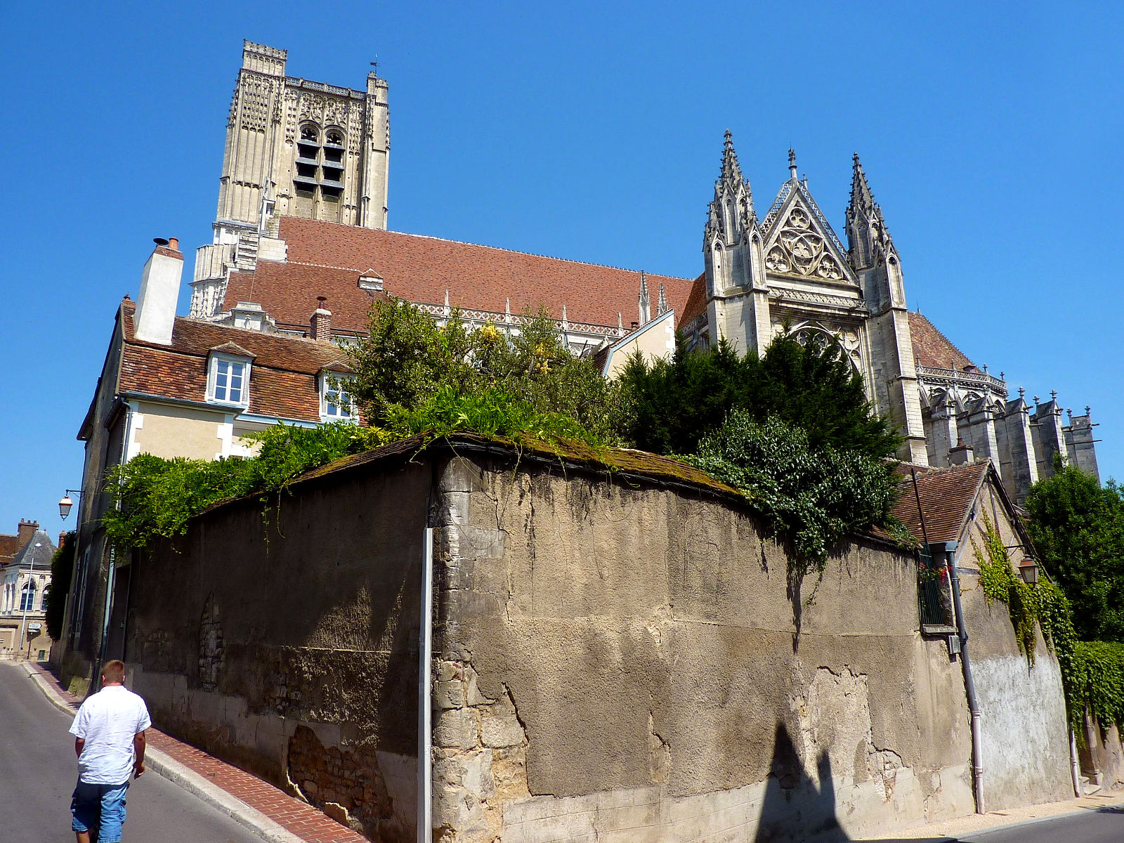 P2610163.JPG
