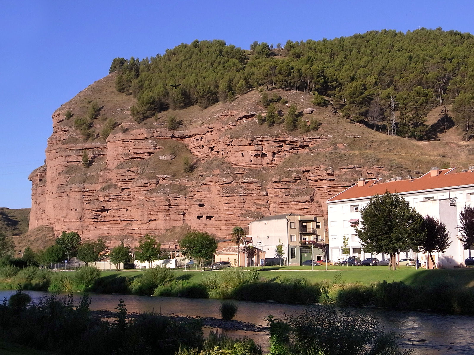 P07G2211.JPG