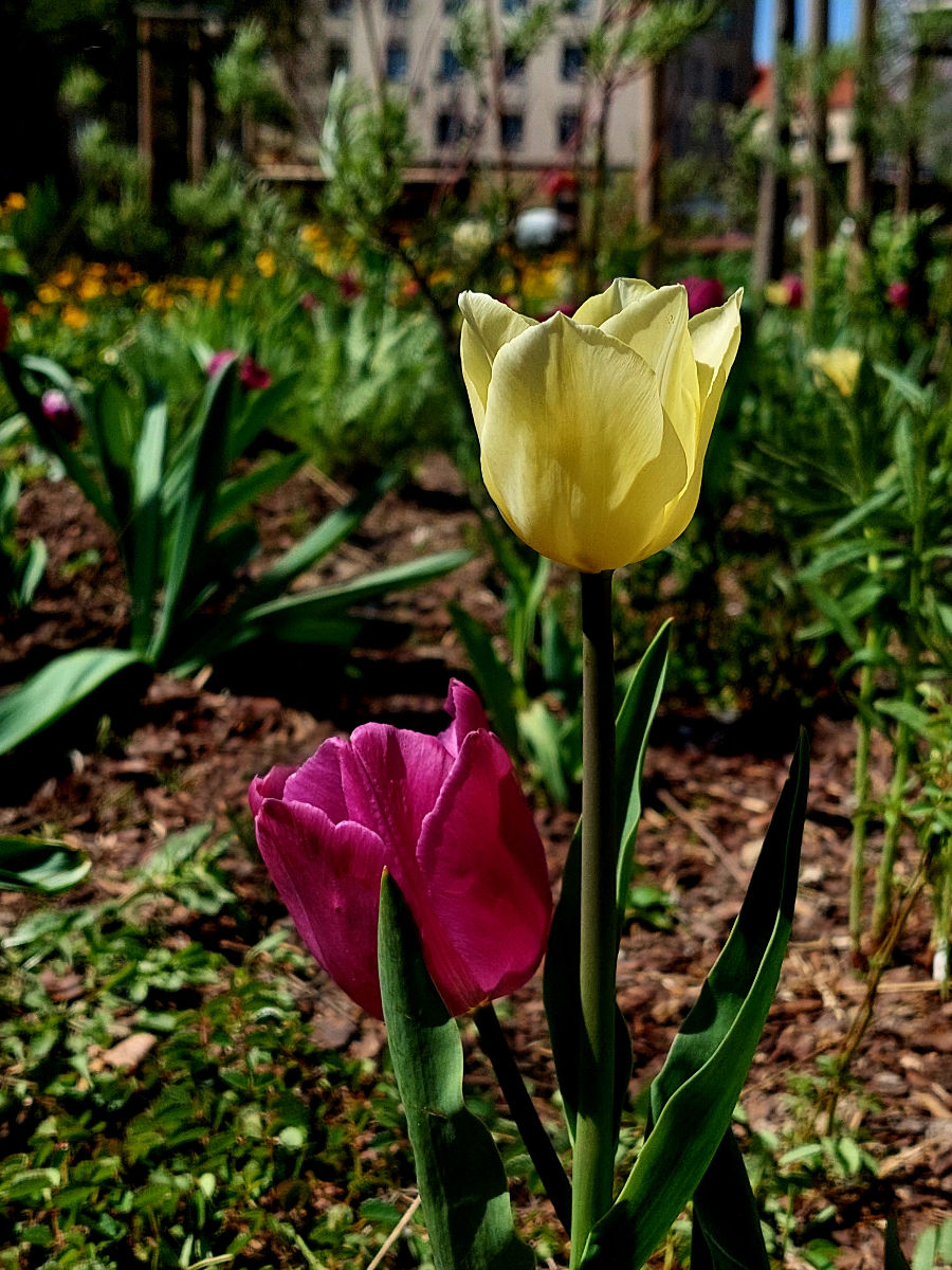 20260428_115750.jpg