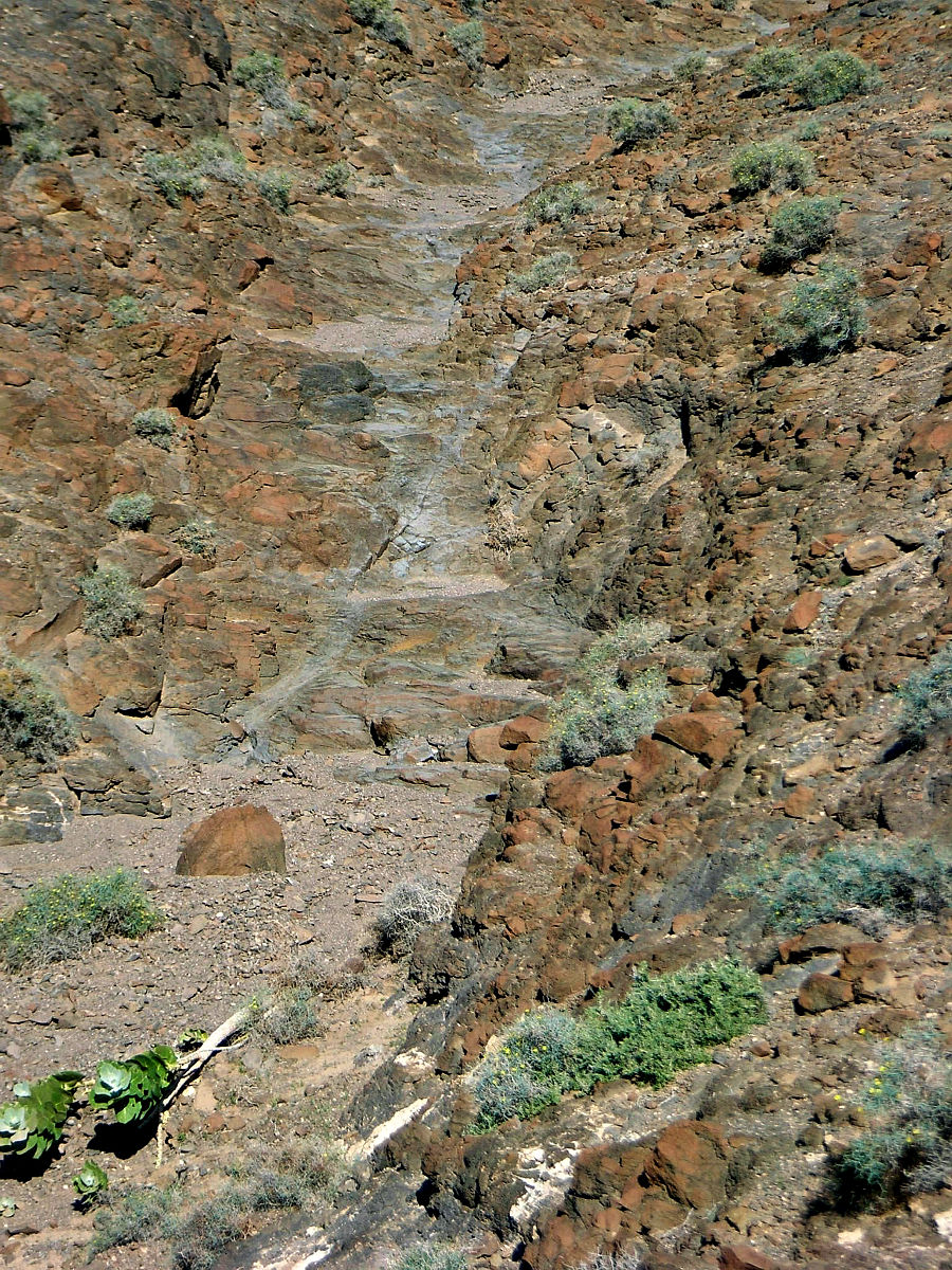 P25G0893.JPG