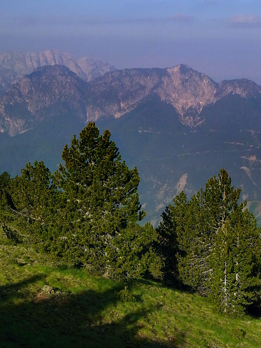 P21G1847.JPG
