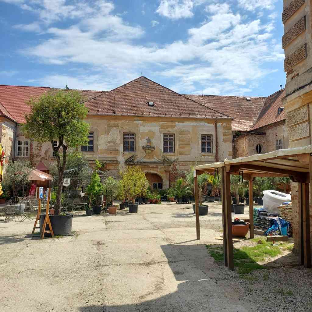 945.jpg
