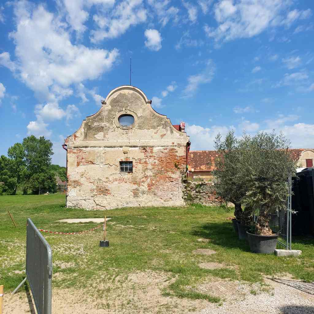 946.jpg