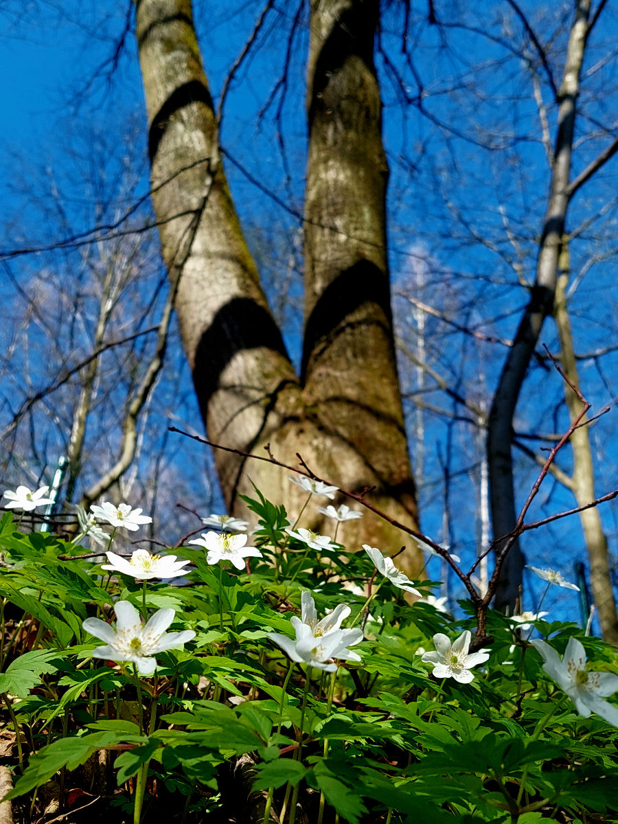 20260405_104606.jpg