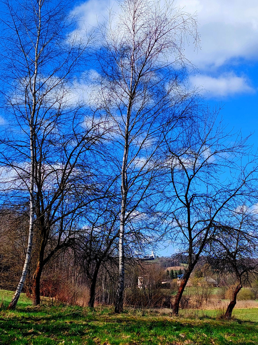 20260405_110727.jpg