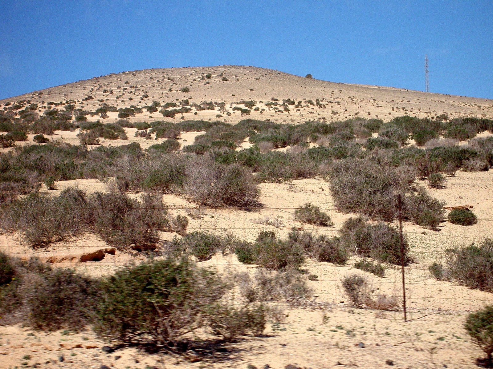 PICT5002.JPG