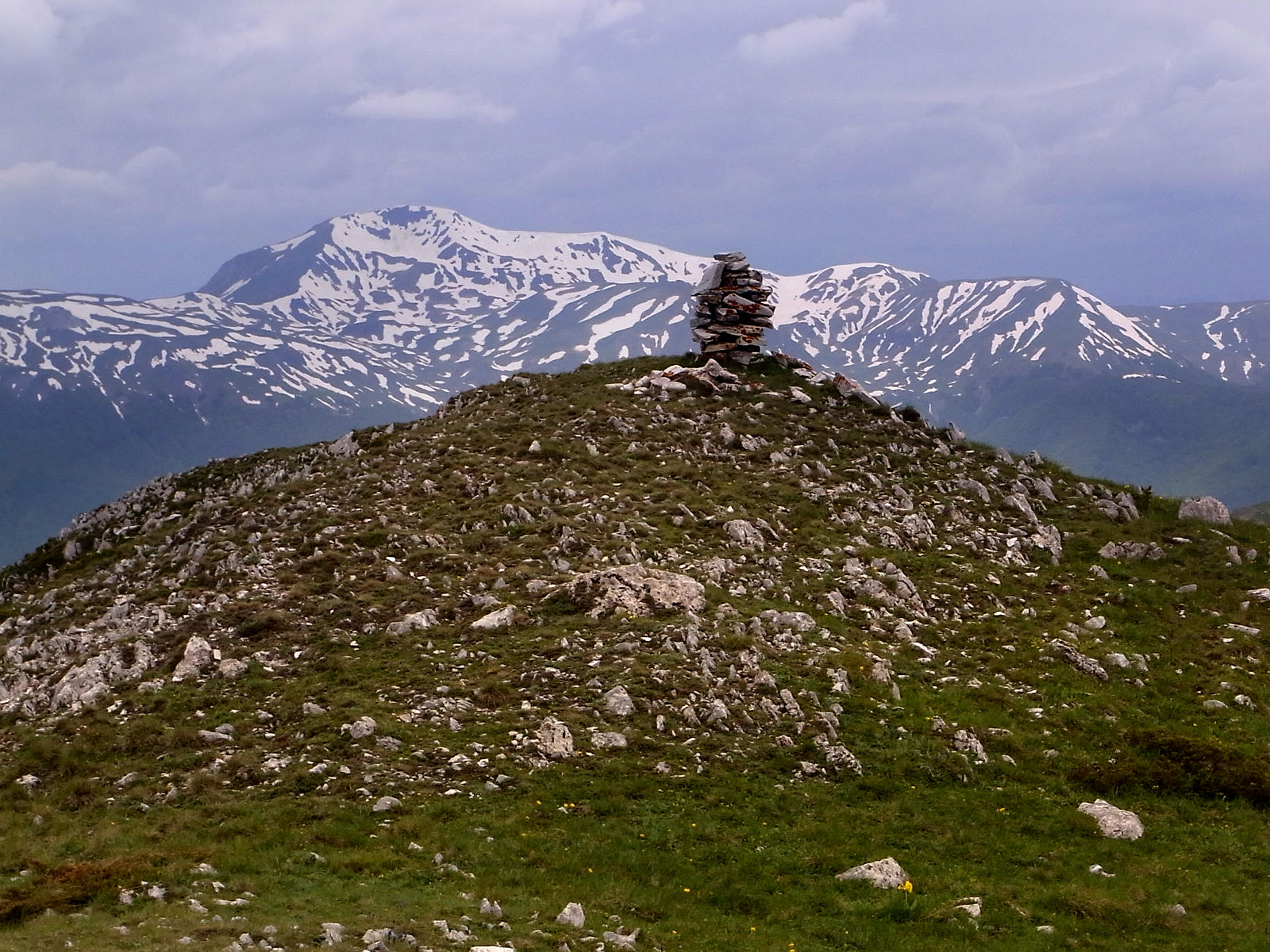 RIMG1749.JPG