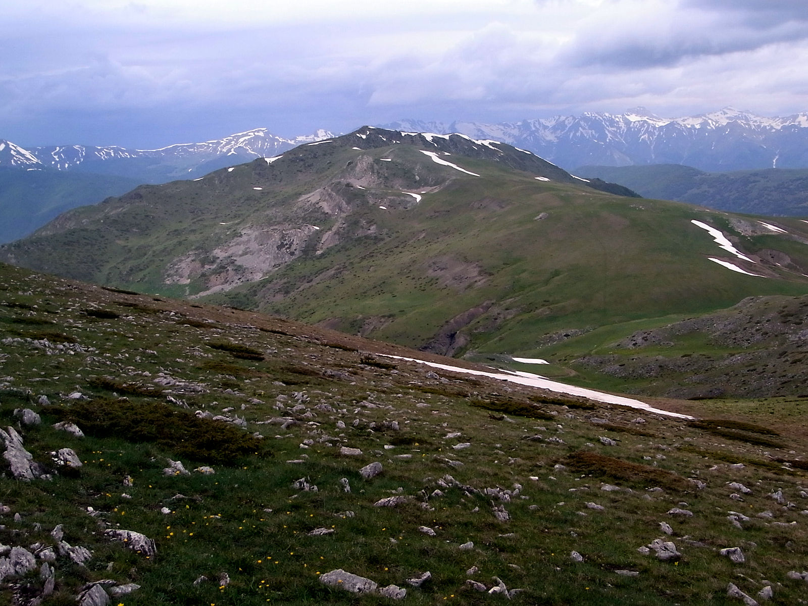 RIMG1751.JPG
