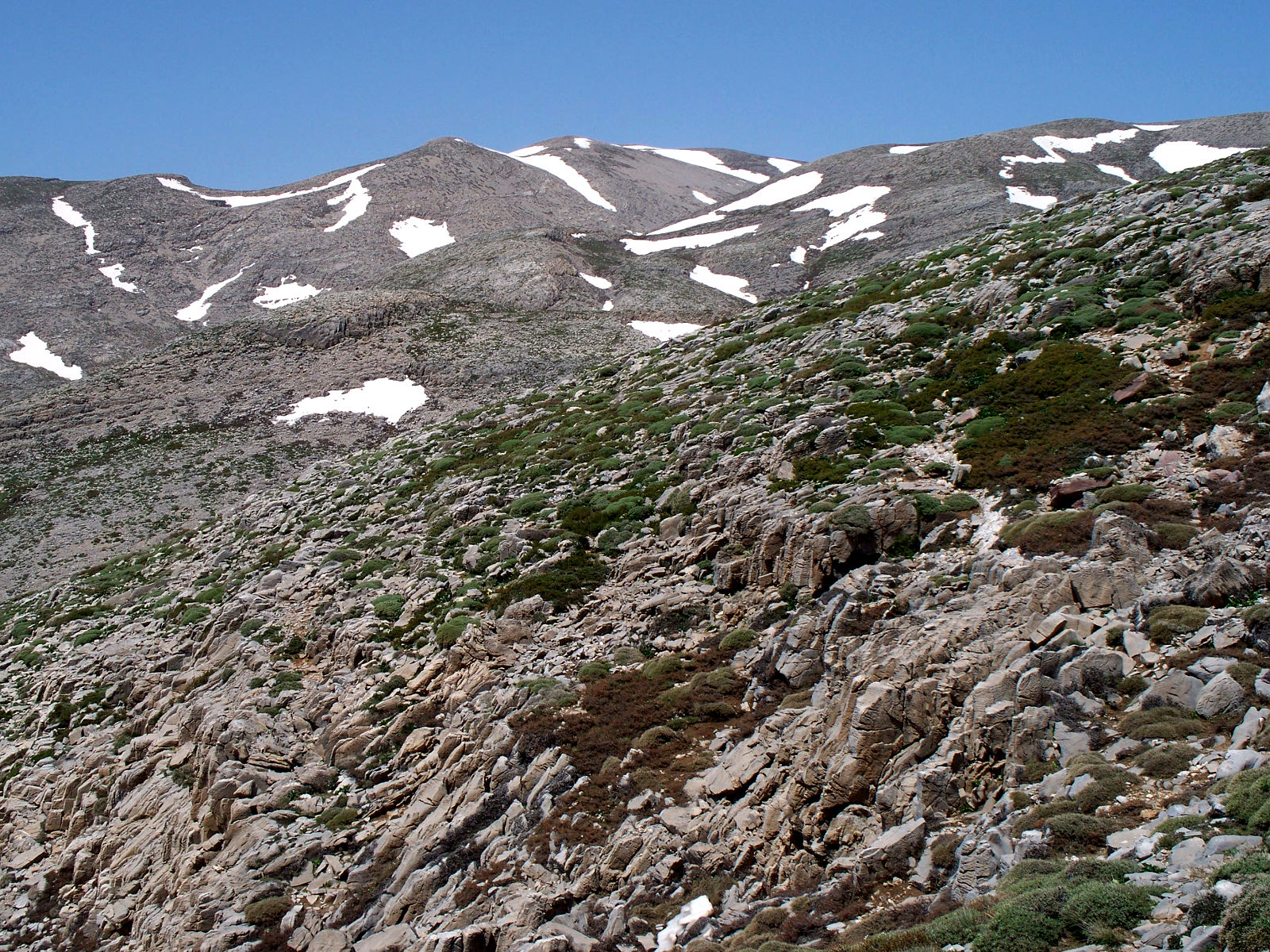 100_0283.JPG