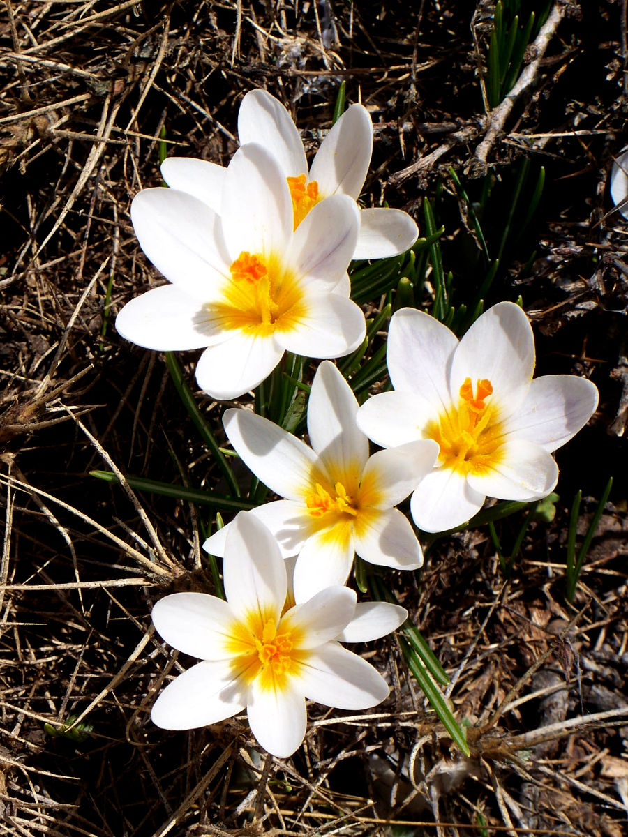 100_0284.JPG