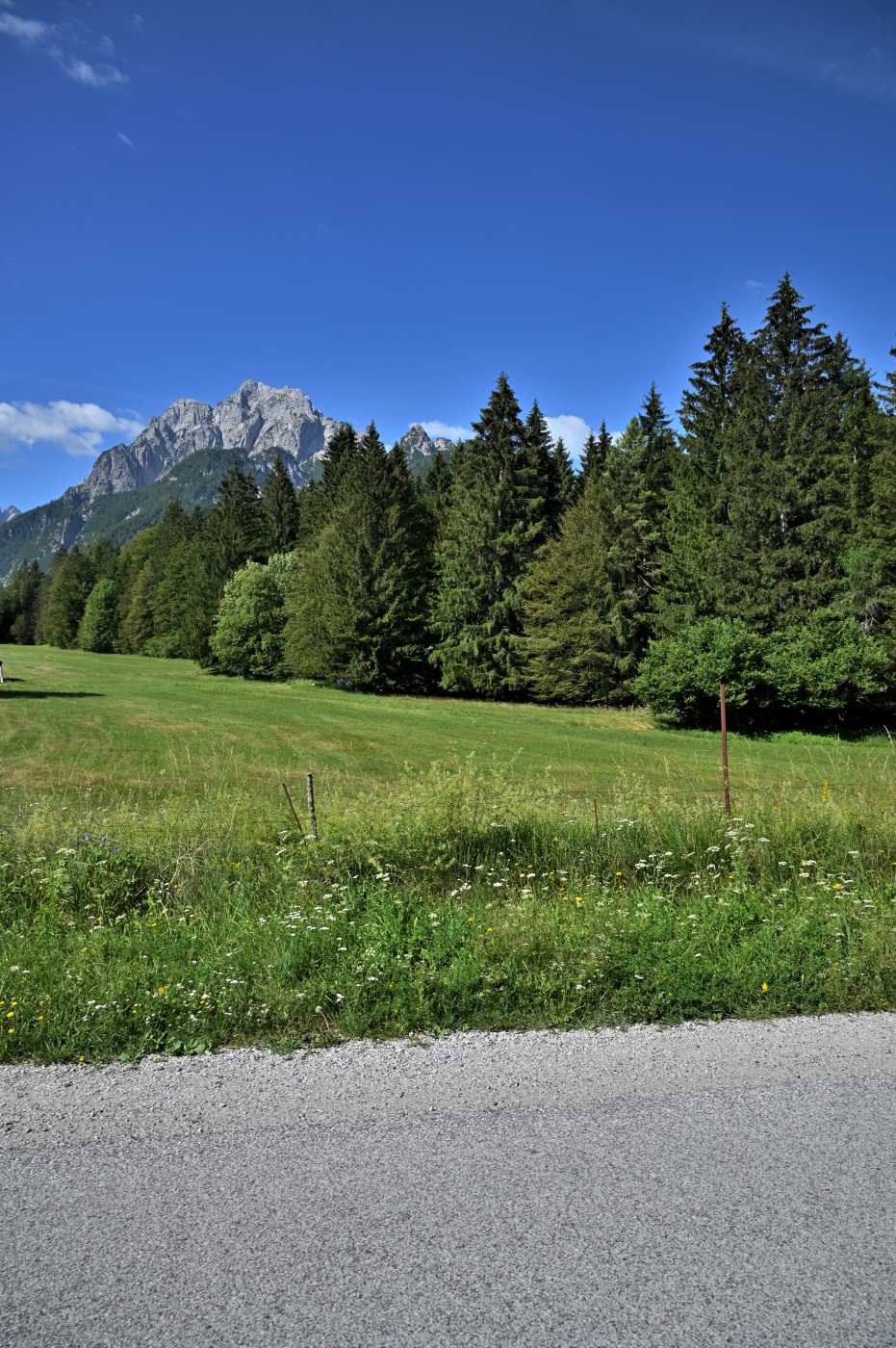 DSC_0750_00511.jpg