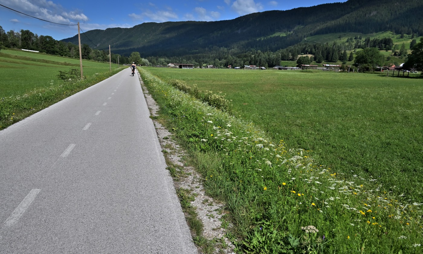 DSC_0759_00520.jpg