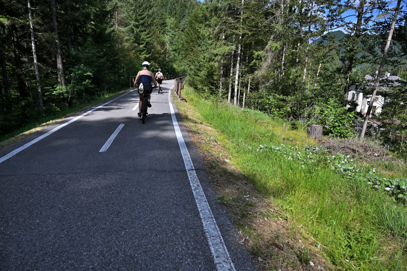 DSC_0773_00534.jpg