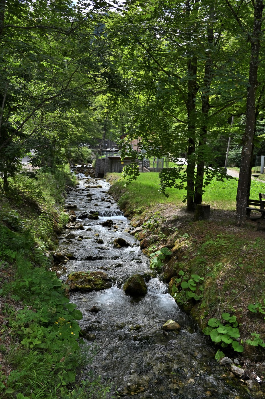 DSC_0776_00537.jpg