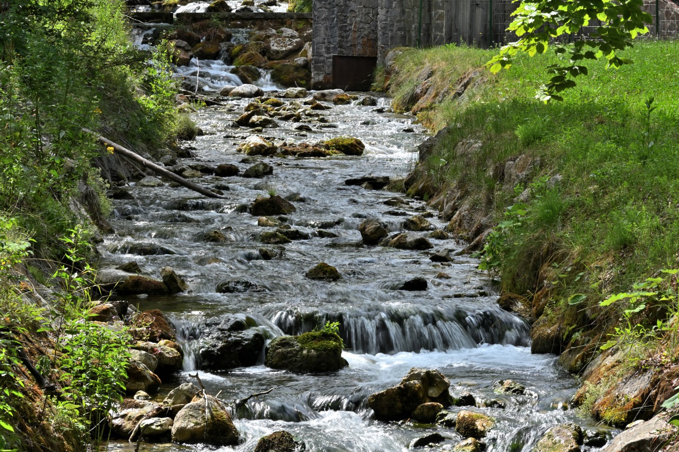 DSC_0777_00538.jpg