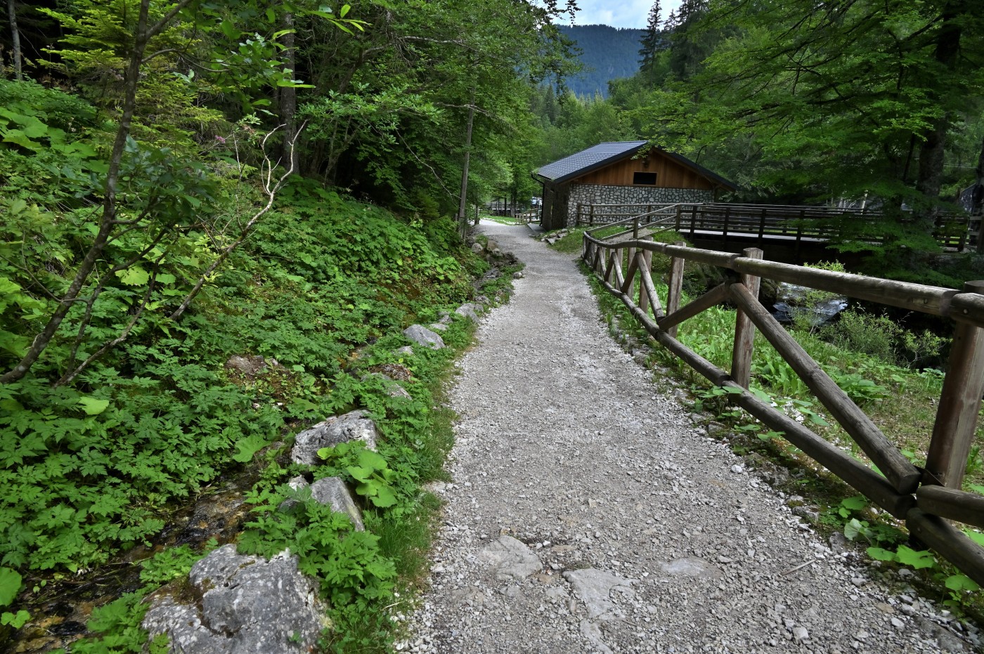 DSC_0778_00539.jpg