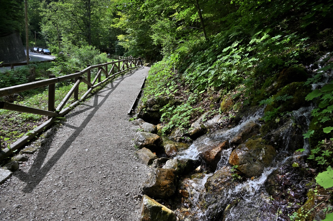 DSC_0788_00549.jpg