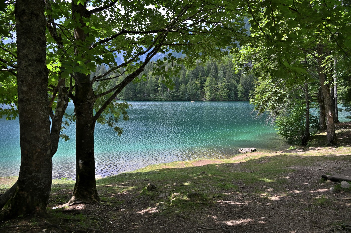 DSC_0809_00570.jpg