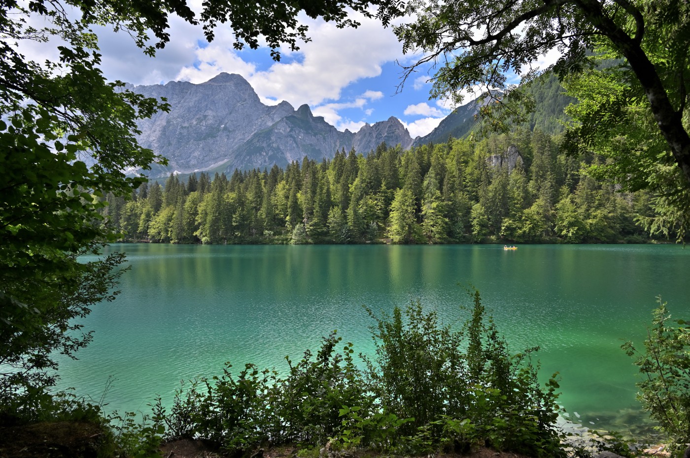 DSC_0811_00572.jpg