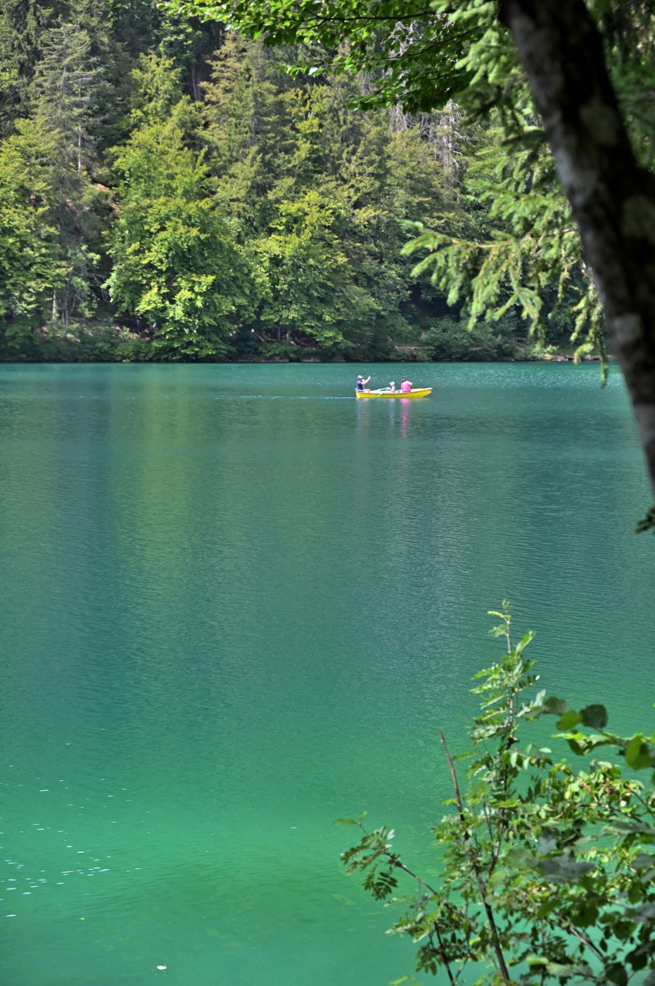 DSC_0812_00573.jpg