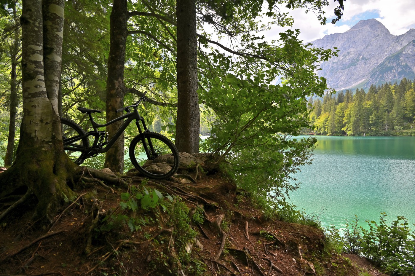 DSC_0813_00574.jpg