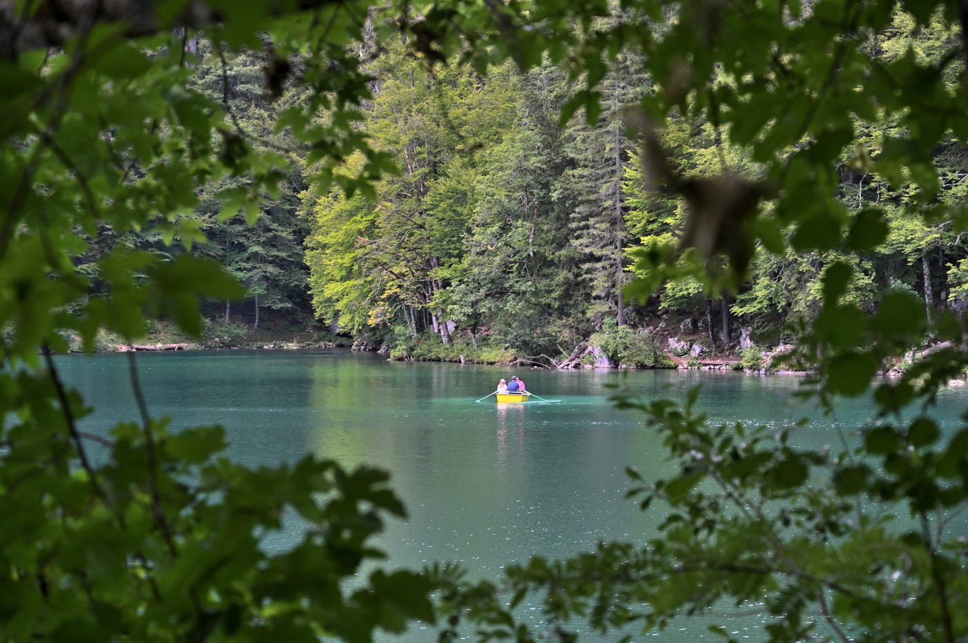 DSC_0814_00575.jpg