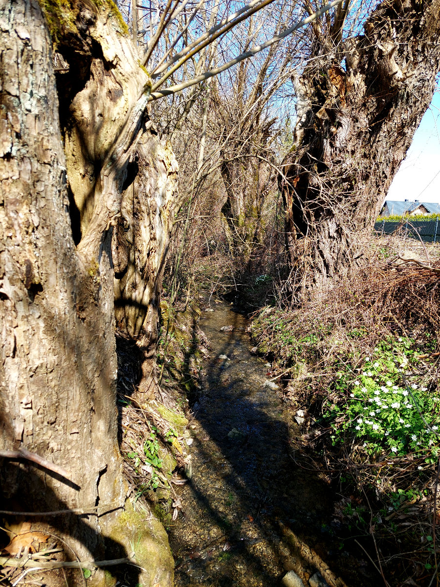 20260405_112127.jpg