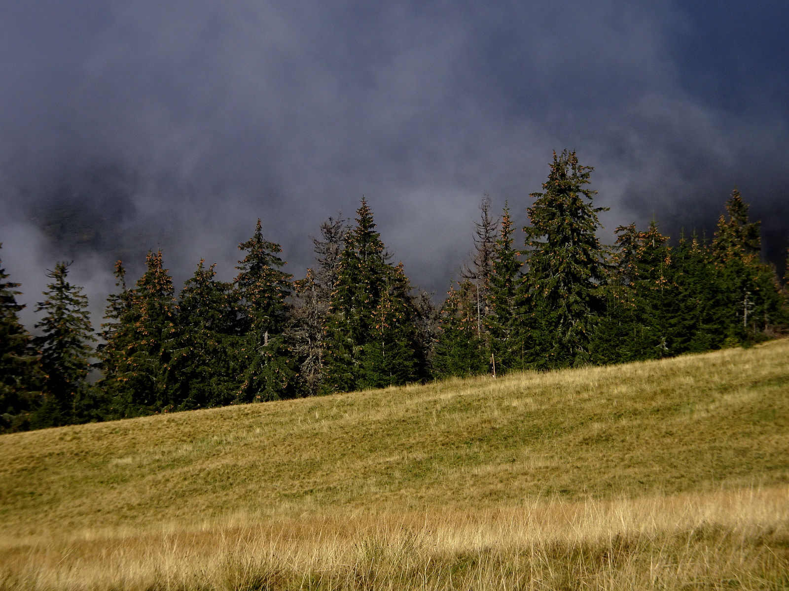 DSC01031.JPG