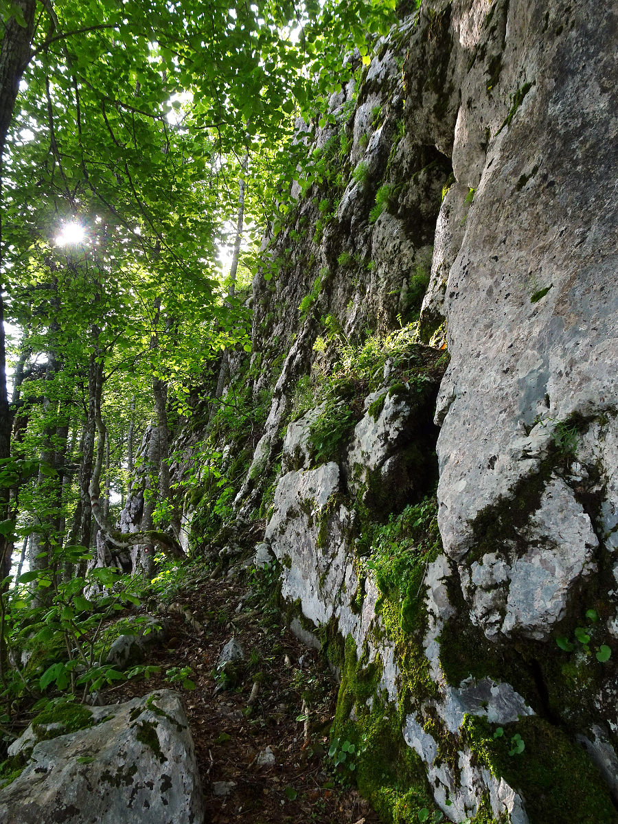 DSC01094.JPG