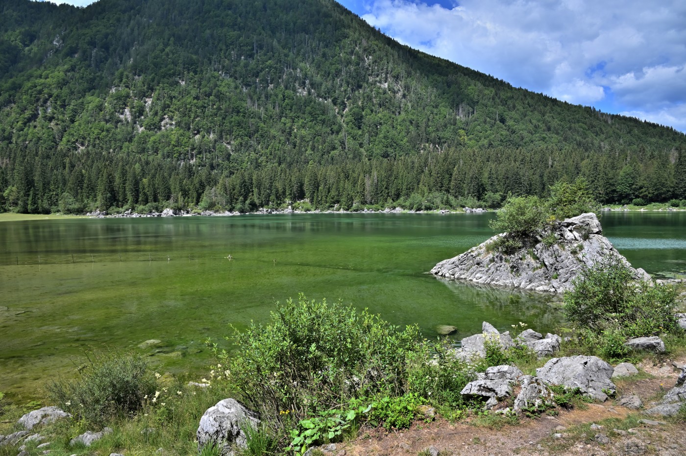 DSC_0817_00577.jpg
