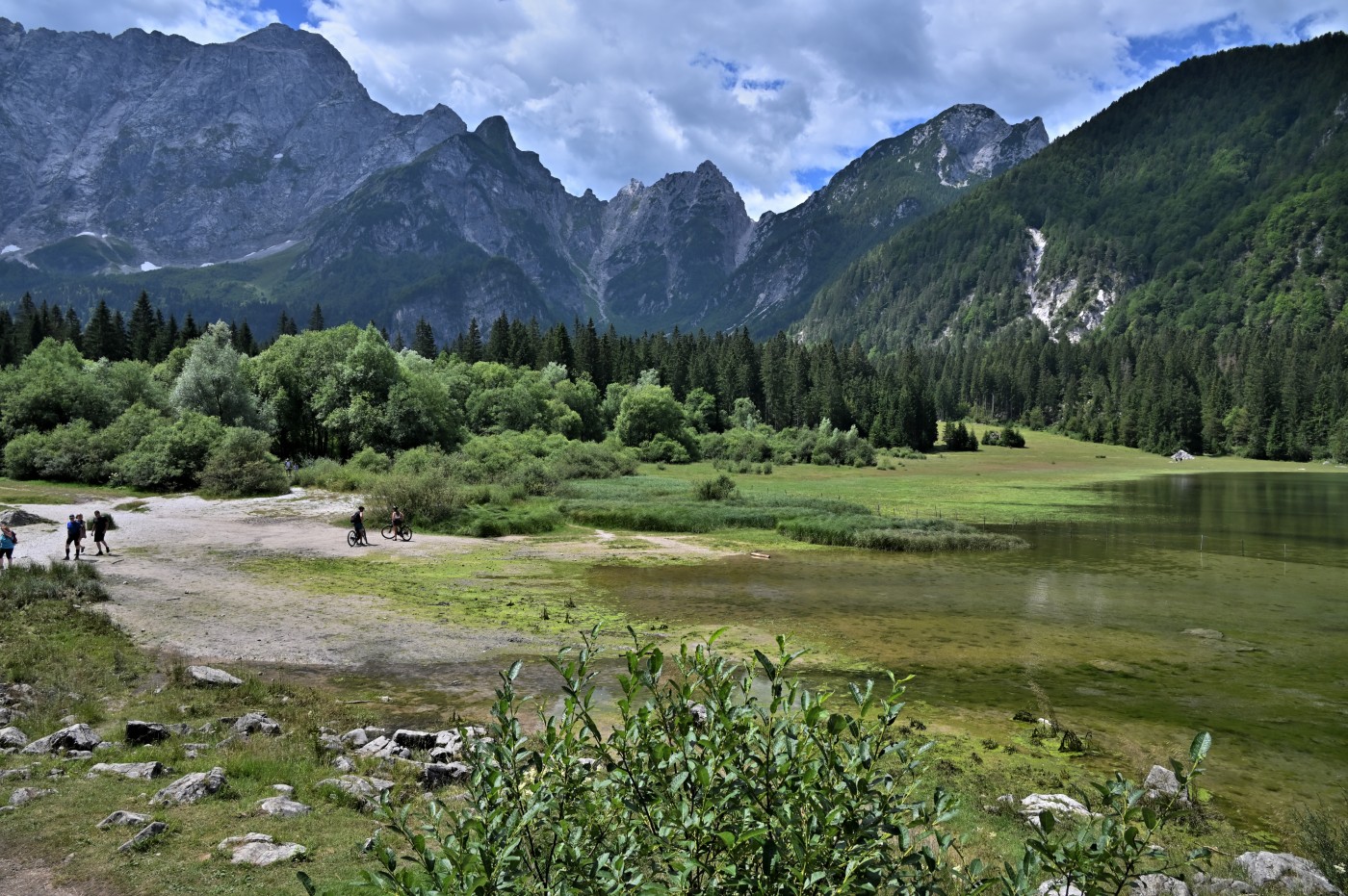DSC_0818_00578.jpg