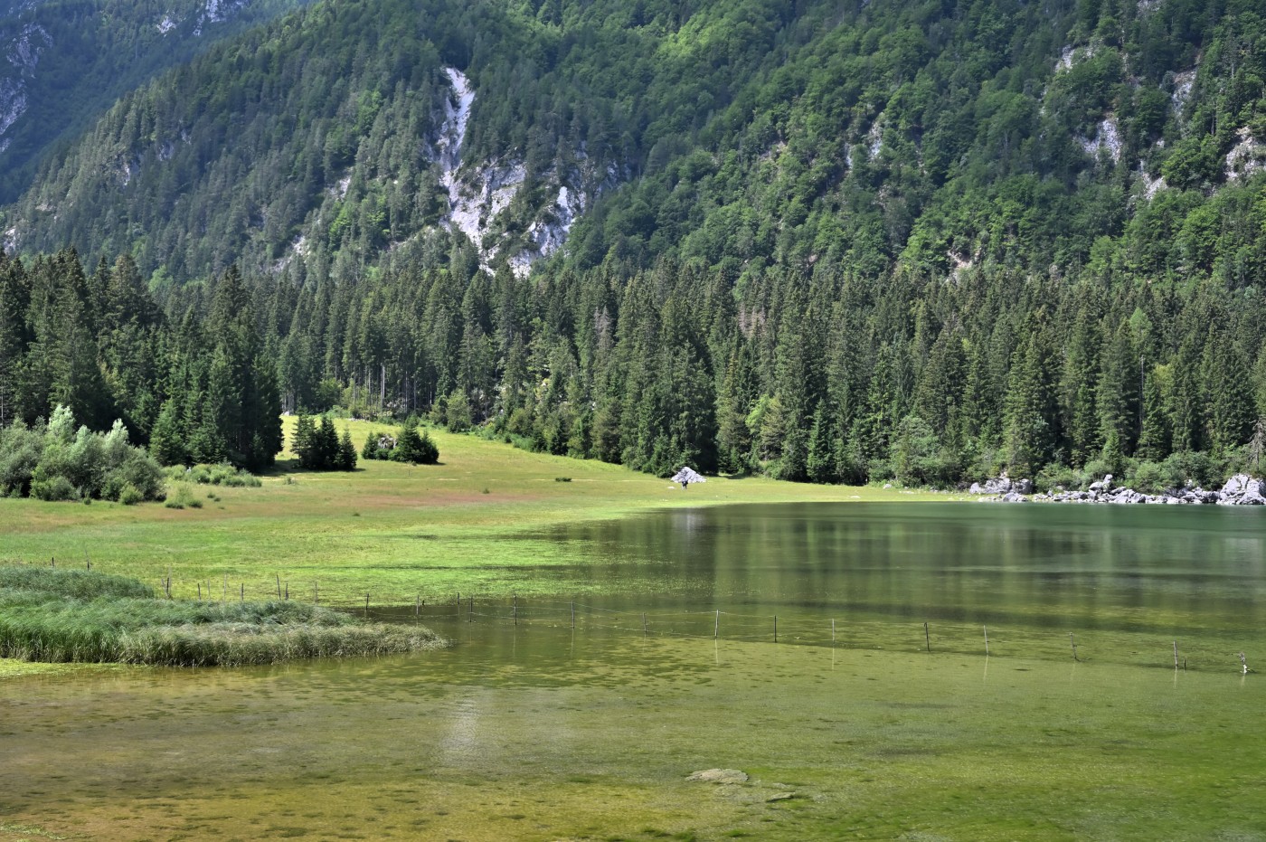 DSC_0819_00579.jpg