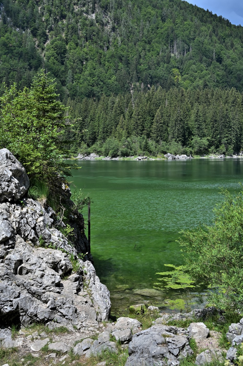 DSC_0820_00580.jpg