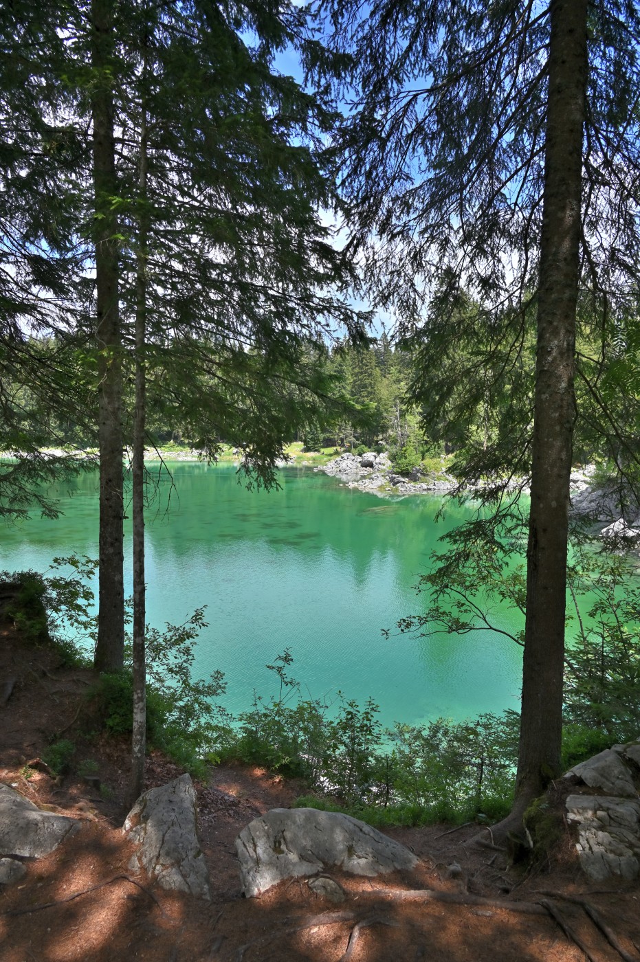 DSC_0821_00581.jpg