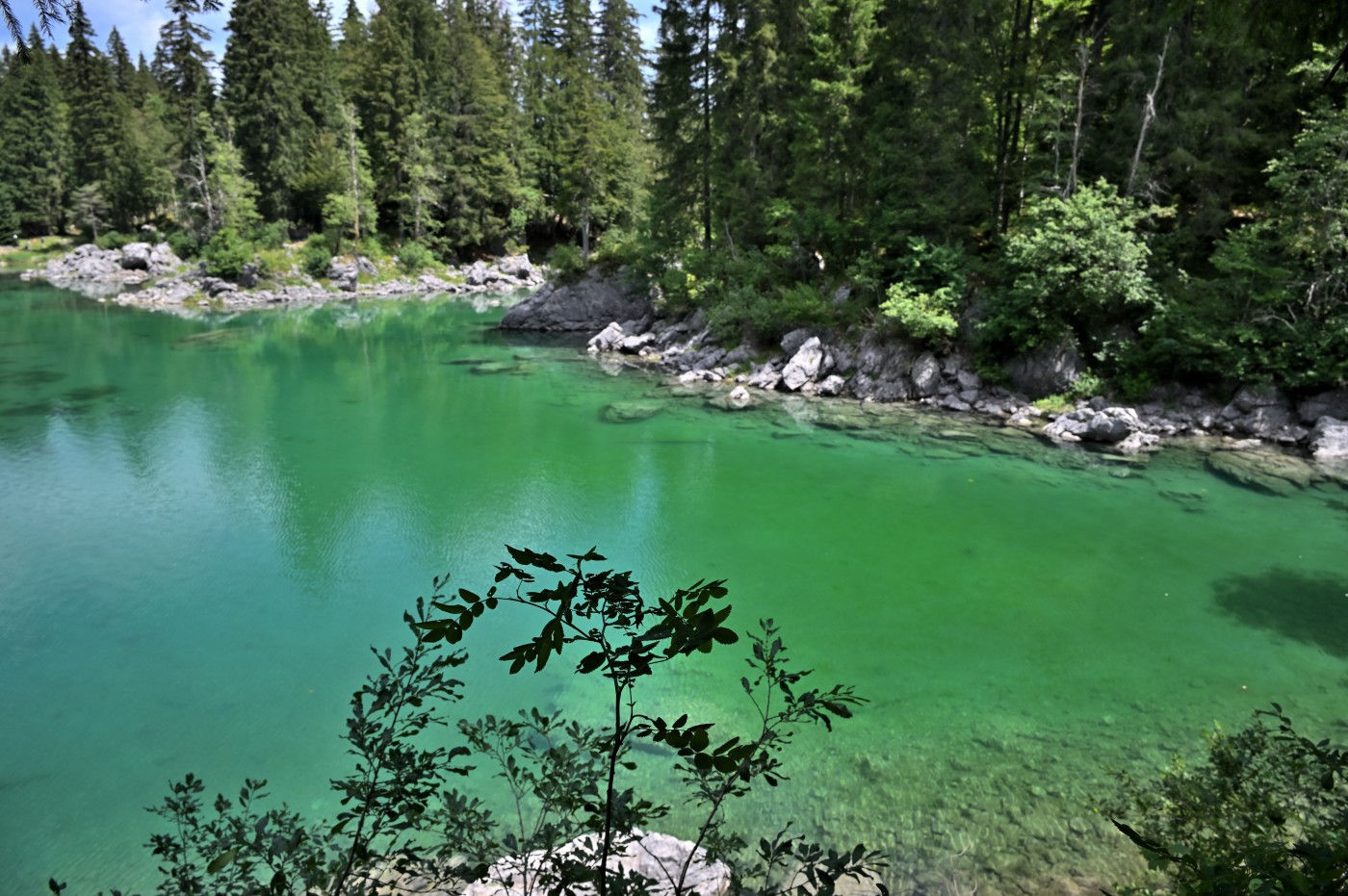 DSC_0822_00582.jpg