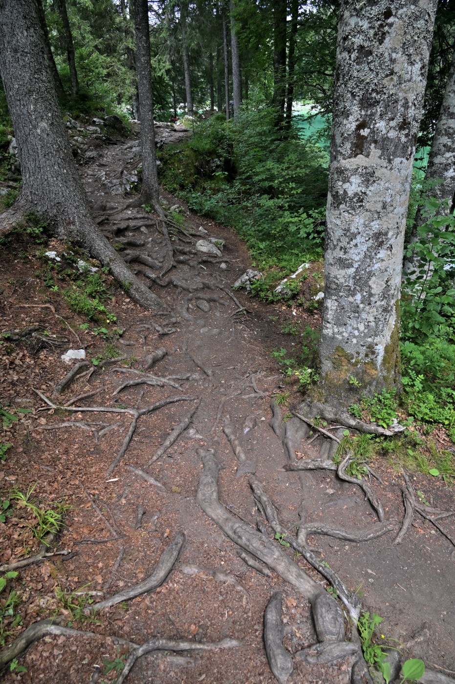 DSC_0824_00584.jpg