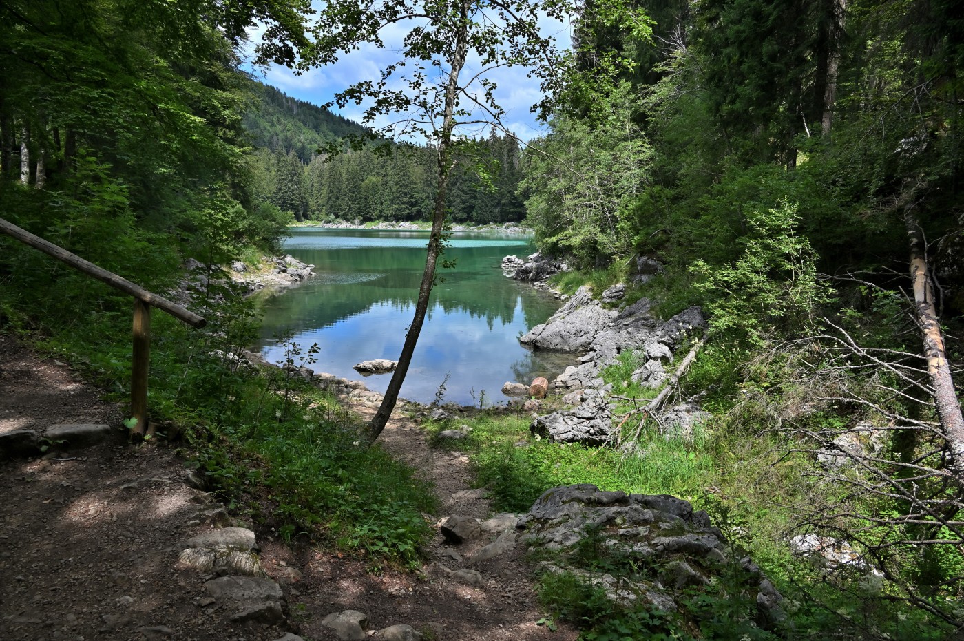 DSC_0825_00585.jpg