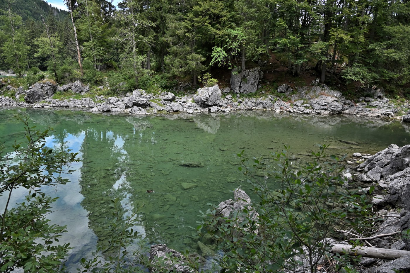 DSC_0828_00588.jpg