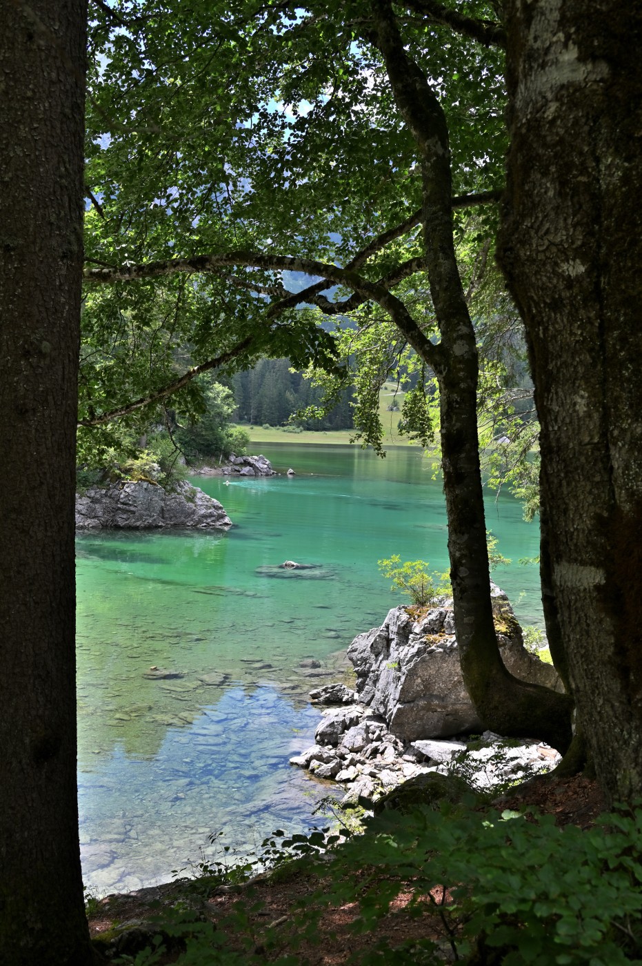 DSC_0832_00592.jpg