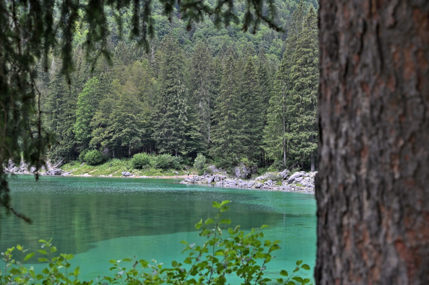 DSC_0835_00595.jpg
