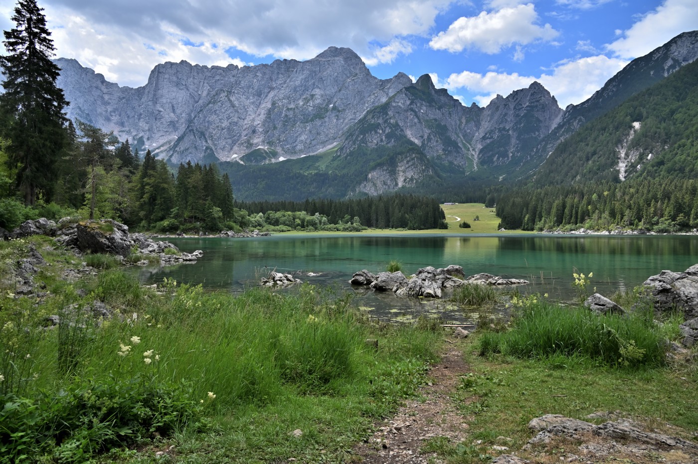 DSC_0836_00596.jpg
