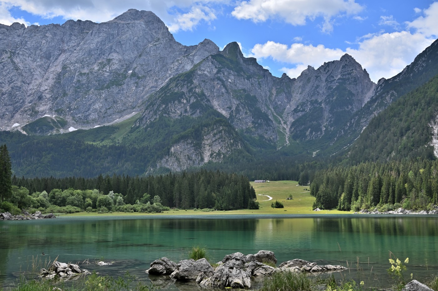 DSC_0837_00597.jpg