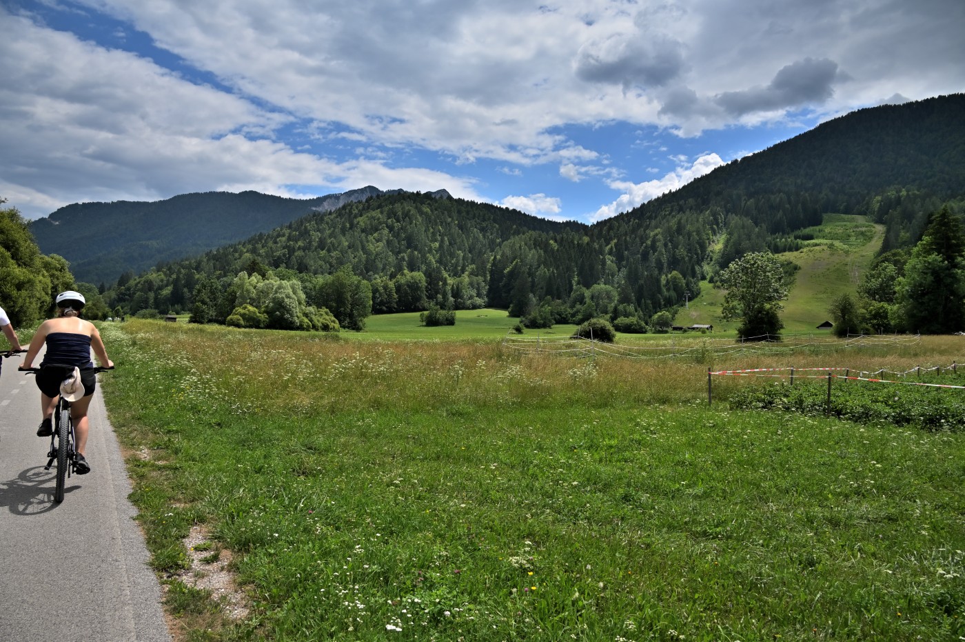 DSC_0848_00608.jpg
