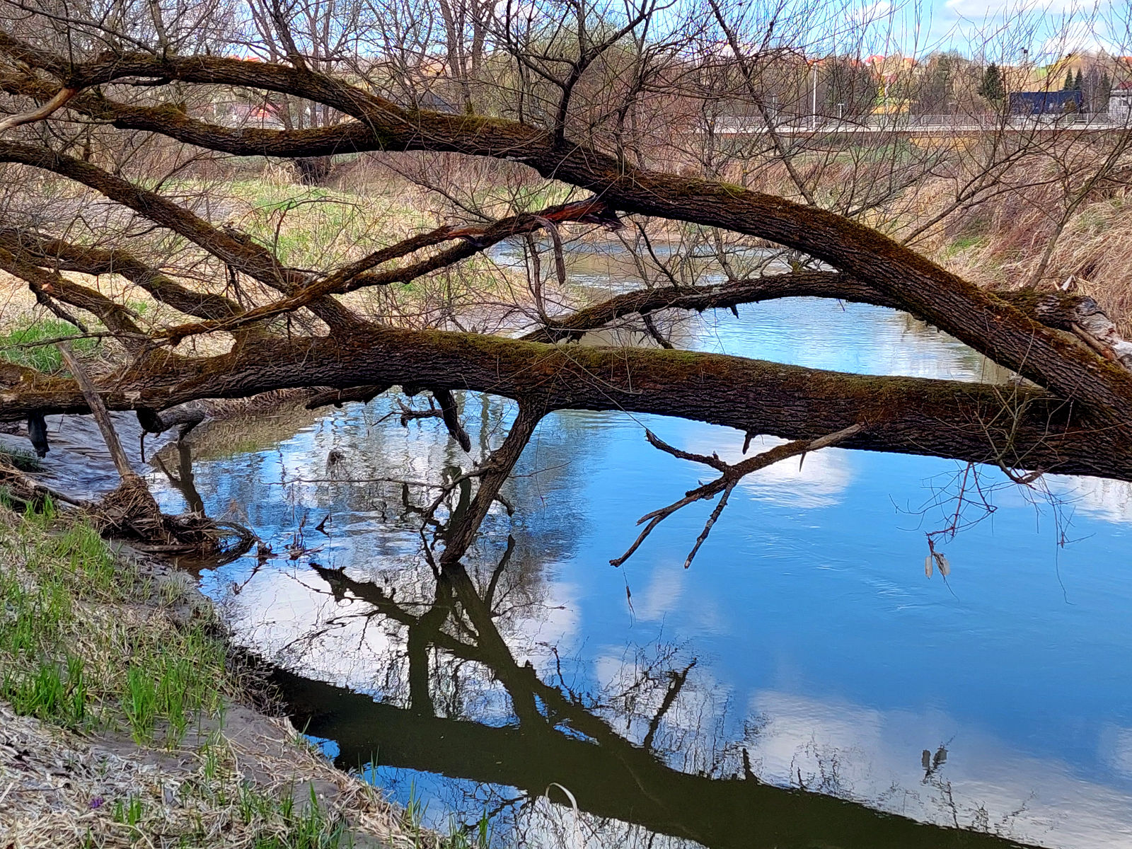 20260405_113133.jpg